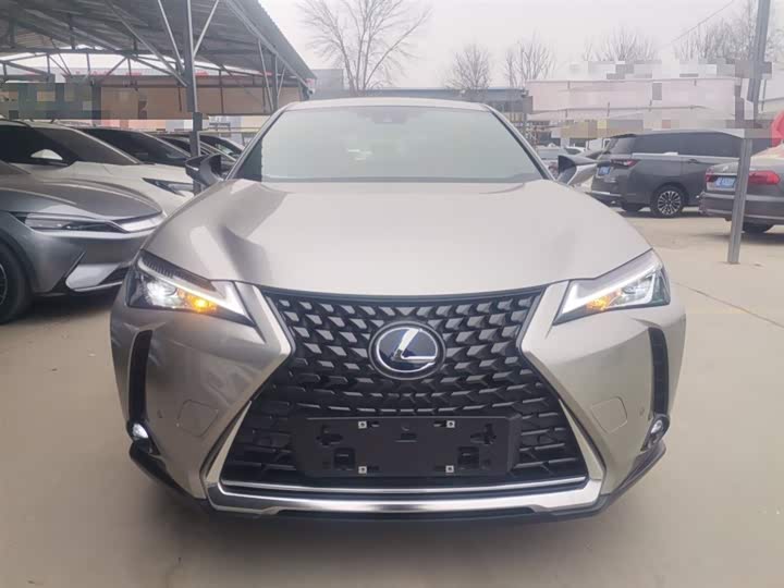 2020 Lexus UX Hybrid