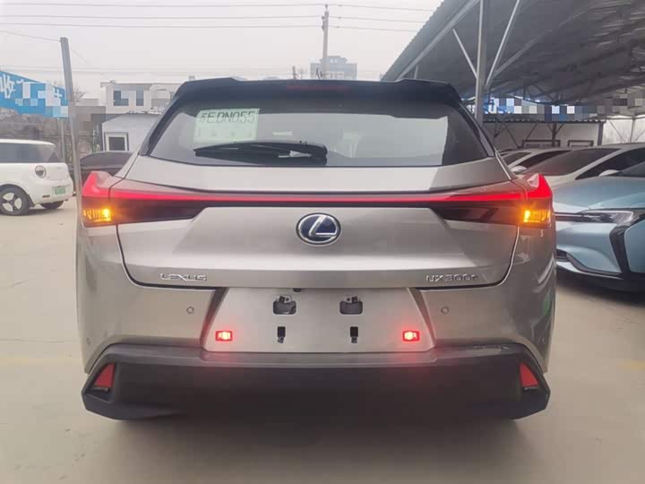 Lexus UX Hybrid 2020 2020款 300e 纯·悦版