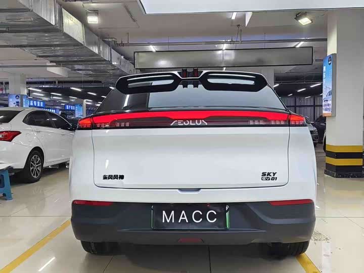 Dongfeng Aeolus Sky EV01 2024 2024款 530km PRO