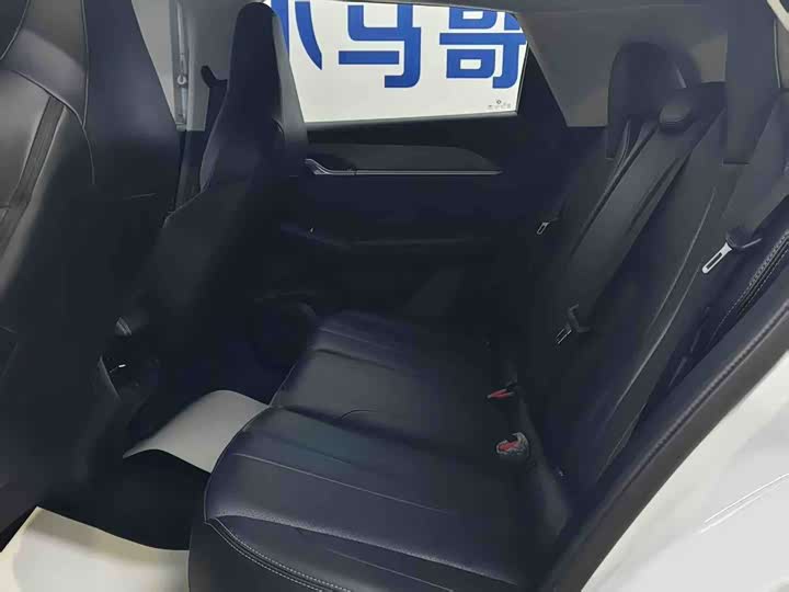 Dongfeng Aeolus Sky EV01 2024 2024款 530km PRO