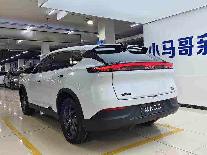 Dongfeng Aeolus Sky EV01 2024 2024款 530km PRO