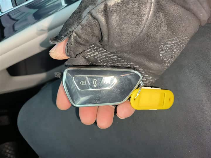 Volkswagen Teramont Pro 2024 2024款 380TSI 四驱龙耀版