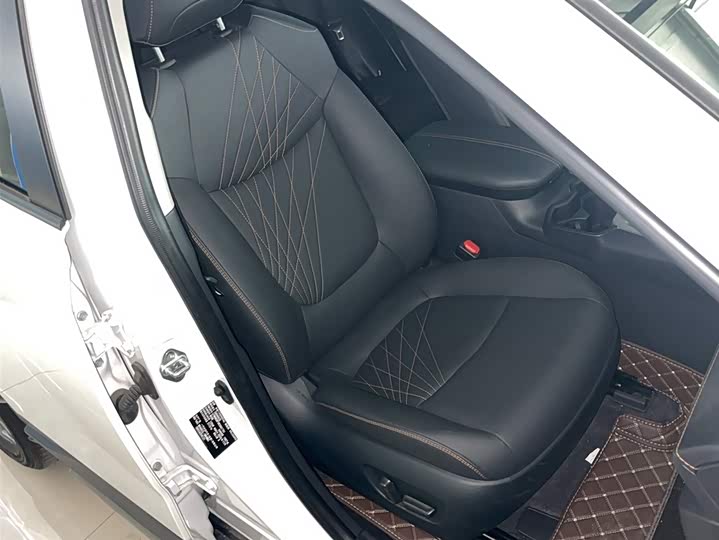 Toyota RAV4 2024 2024款 2.0L CVT两驱风尚Plus版