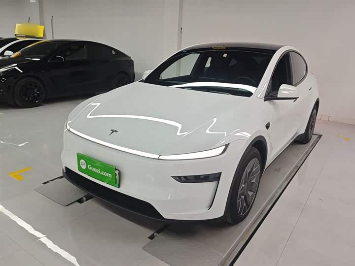 Tesla Model Y 2025 2025款 长续航全轮驱动版