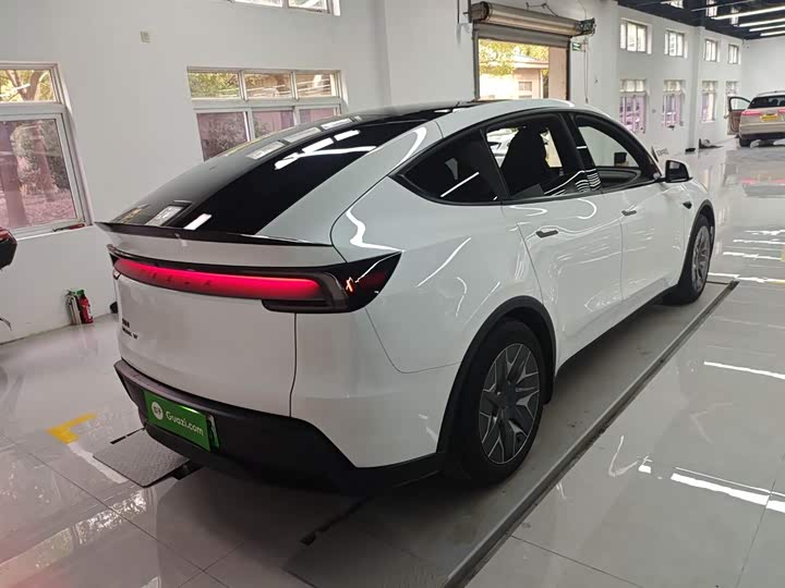 Tesla Model Y 2025 2025款 长续航全轮驱动版