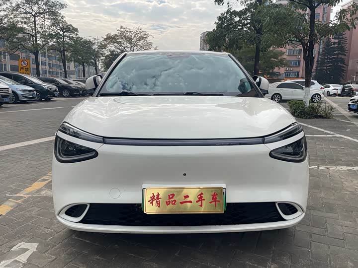 Dongfeng Nammi 01 2024 2024款 330 Plus智+