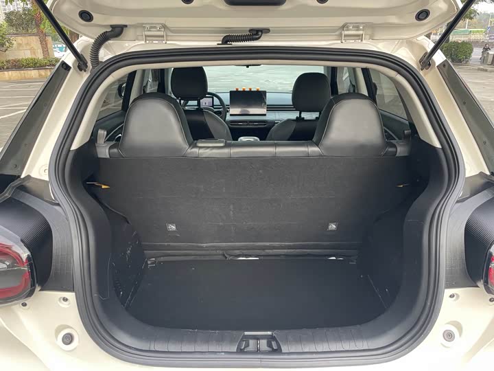 Dongfeng Nammi 01 2024 2024款 330 Plus智+