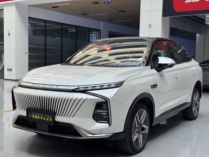 Roewe Whale 2022 2022款 2.0T 白鲸版