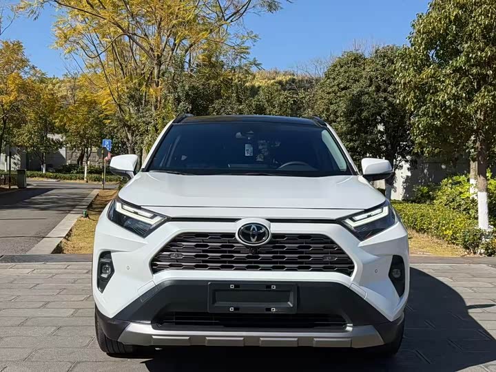 Toyota RAV4 2024 2024款 2.0L CVT两驱风尚Plus版