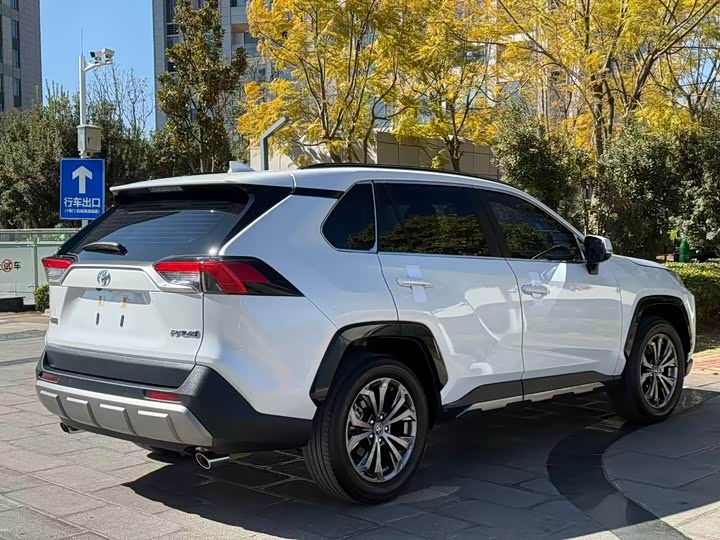 Toyota RAV4 2024 2024款 2.0L CVT两驱风尚Plus版