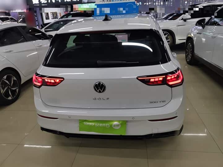 Volkswagen Golf 2025 2025款 300TSI R-Line