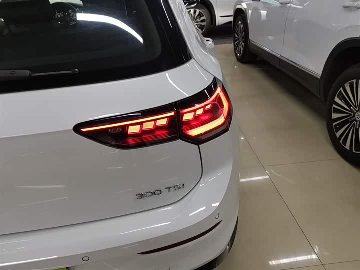 Volkswagen Golf 2025 2025款 300TSI R-Line