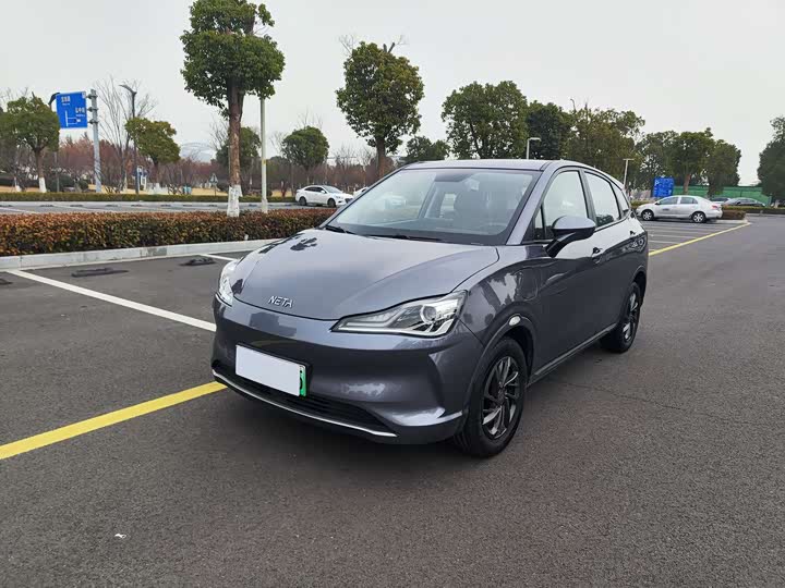 Hozon V 2022 2022款 潮 300 Lite 三元锂