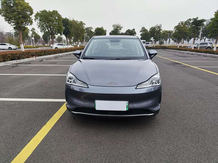 Hozon V 2022 2022款 潮 300 Lite 三元锂