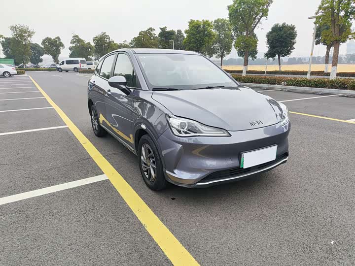 Hozon V 2022 2022款 潮 300 Lite 三元锂