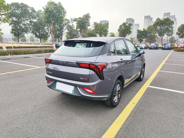 Hozon V 2022 2022款 潮 300 Lite 三元锂