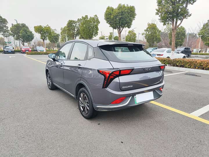 Hozon V 2022 2022款 潮 300 Lite 三元锂