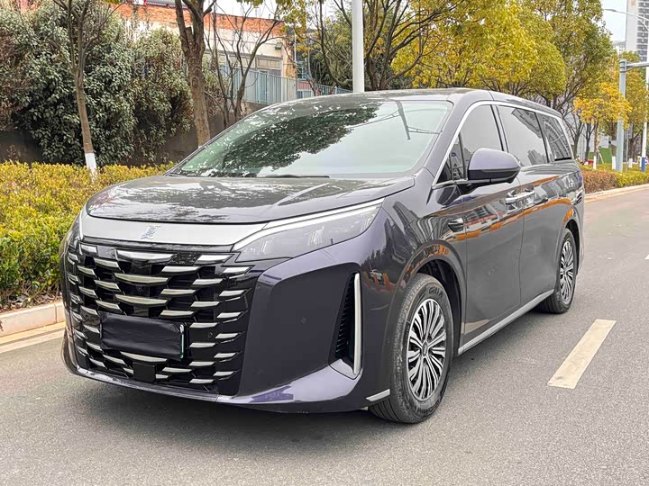 BYD Xia 2025 2025款 DM-i 1.5T 100km 超越型