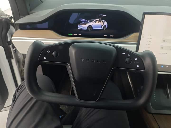 Tesla Model X 2023 2023款 双电机全轮驱动版