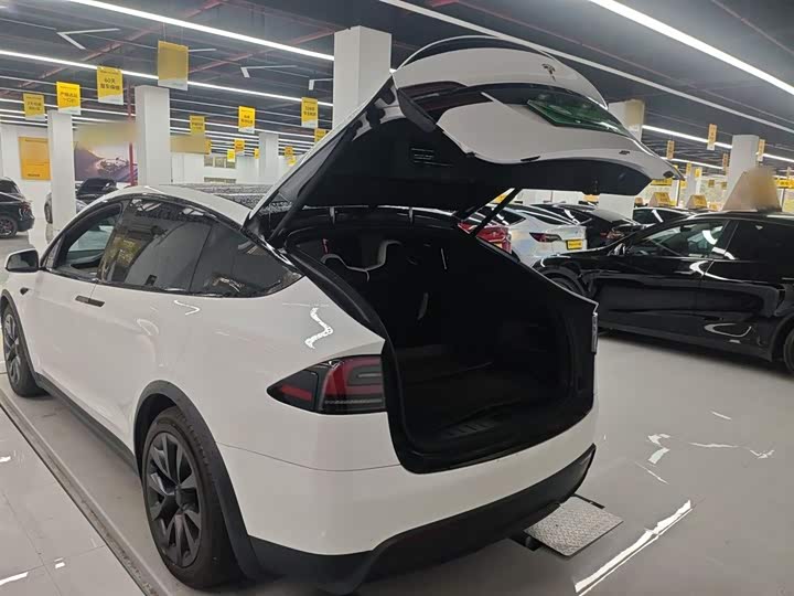 Tesla Model X 2023 2023款 双电机全轮驱动版