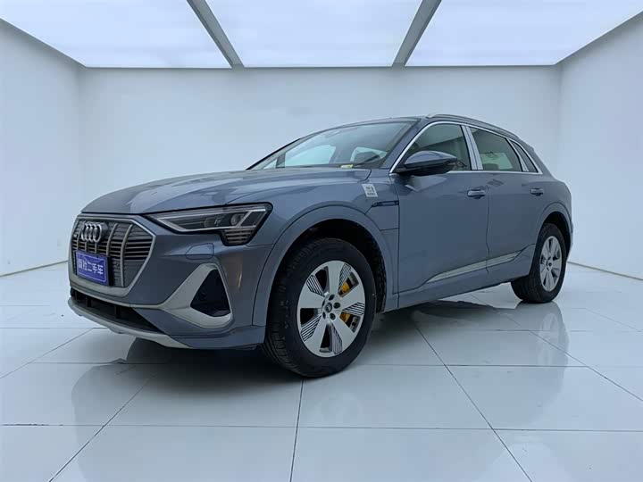 Audi e-tron 2021 2021款 50 quattro 豪华型