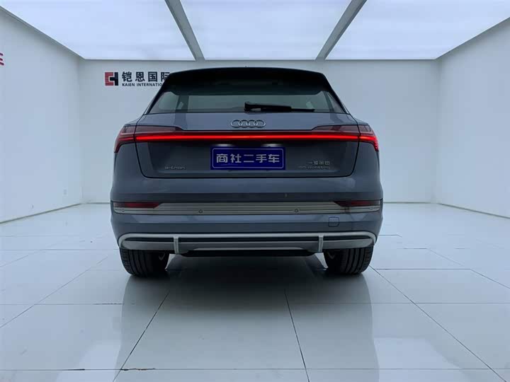Audi e-tron 2021 2021款 50 quattro 豪华型