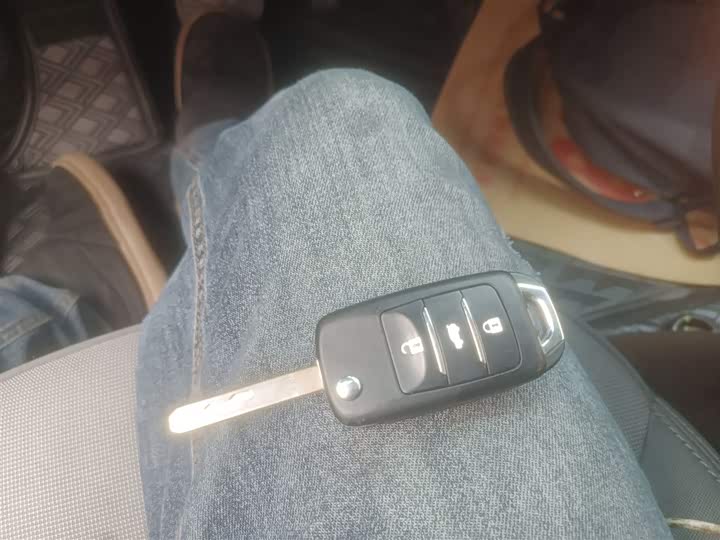 Changan Qiyuan (Nevo) Lumin 2025 2025款 205km 香沁款