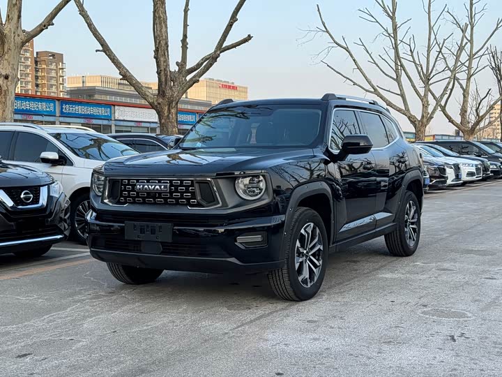 Haval H-Dog 2023 2023款 2.0T 两驱潮野版Plus