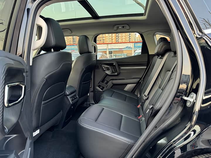 Haval H-Dog 2023 2023款 2.0T 两驱潮野版Plus