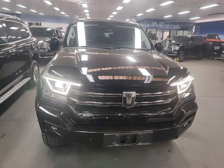 Tank 400 Hybrid 2024 2024款 Hi4-T 越野版