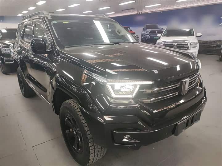 Tank 400 Hybrid 2024 2024款 Hi4-T 越野版