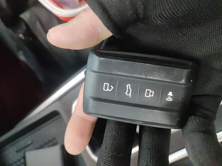 Tank 400 Hybrid 2024 2024款 Hi4-T 越野版