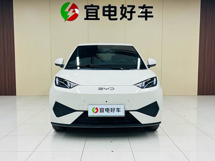 BYD Seagull 2025 2025款 智驾版 305km 自由版