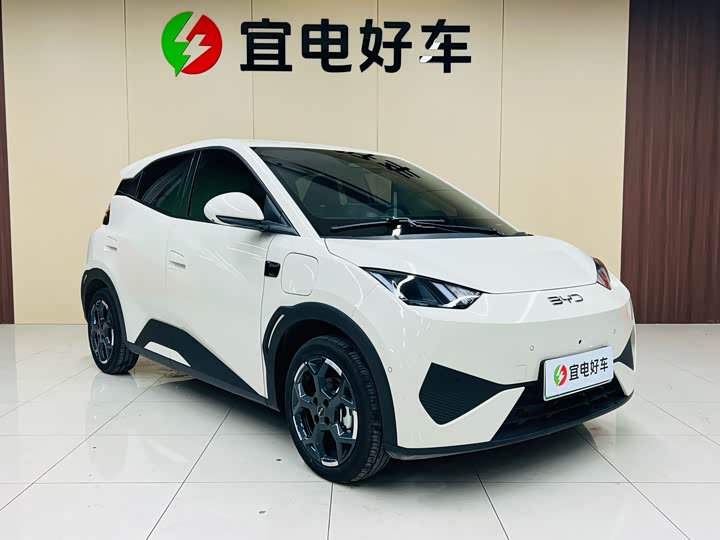 BYD Seagull 2025 2025款 智驾版 305km 自由版