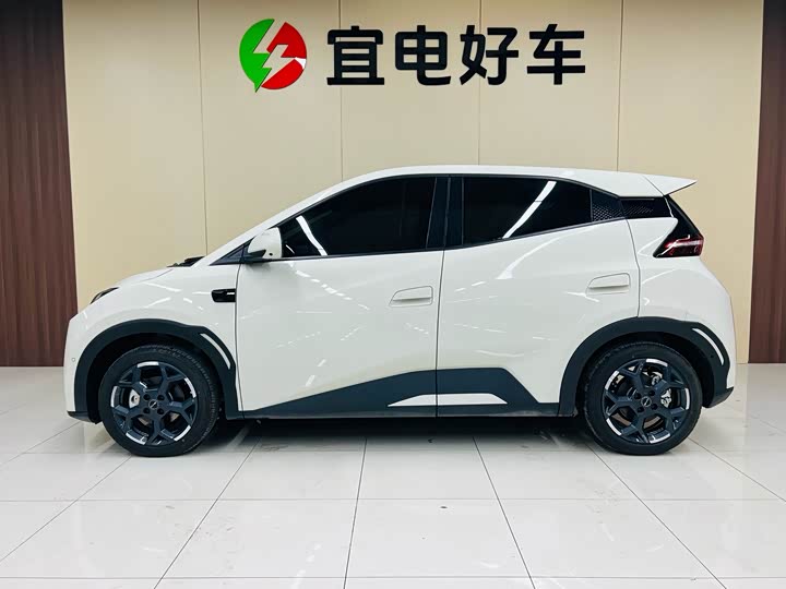 BYD Seagull 2025 2025款 智驾版 305km 自由版