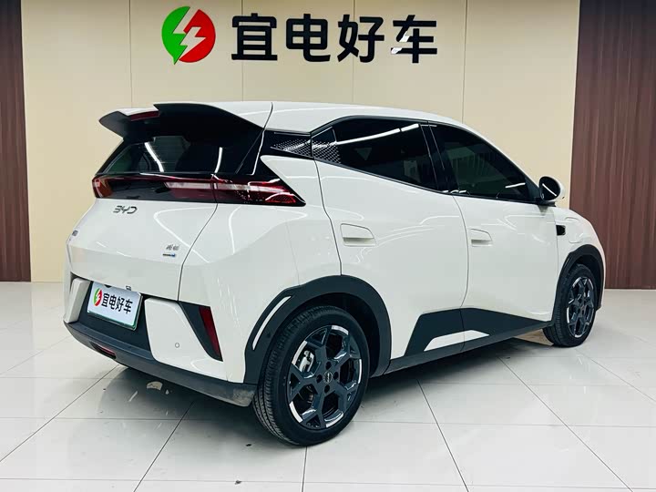 BYD Seagull 2025 2025款 智驾版 305km 自由版