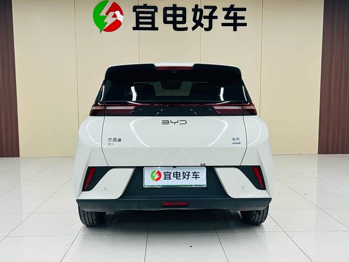 BYD Seagull 2025 2025款 智驾版 305km 自由版