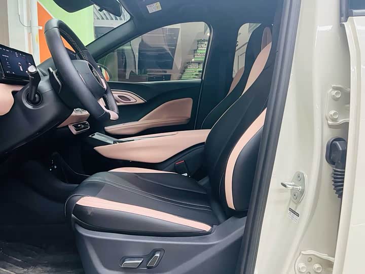 BYD Seagull 2025 2025款 智驾版 305km 自由版