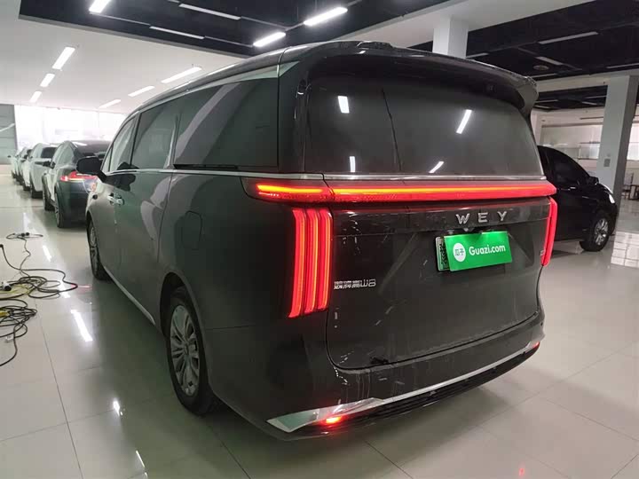 Wey Gaoshan 2025 2025款 四驱高山8