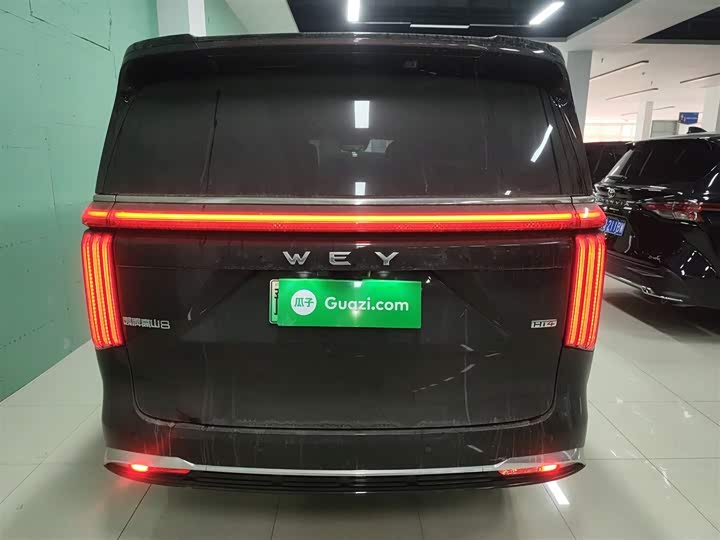 Wey Gaoshan 2025 2025款 四驱高山8