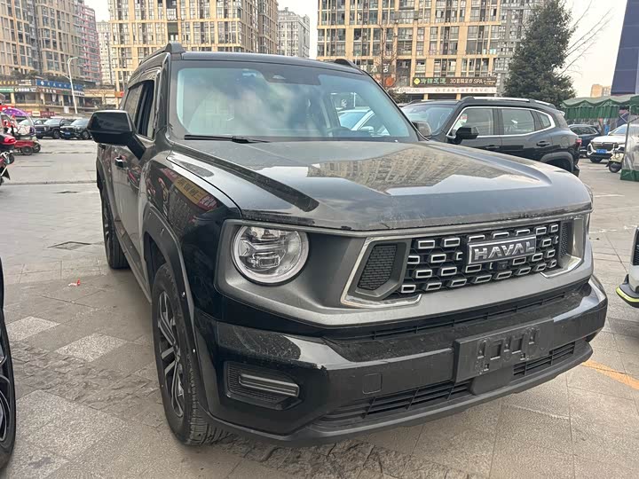 Haval H-Dog 2023 2023款 2.0T 四驱潮野Plus
