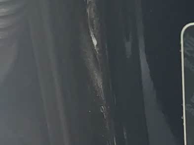 Haval H-Dog 2023 2023款 2.0T 四驱潮野Plus