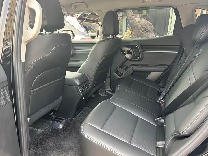 Haval H-Dog 2023 2023款 2.0T 四驱潮野Plus