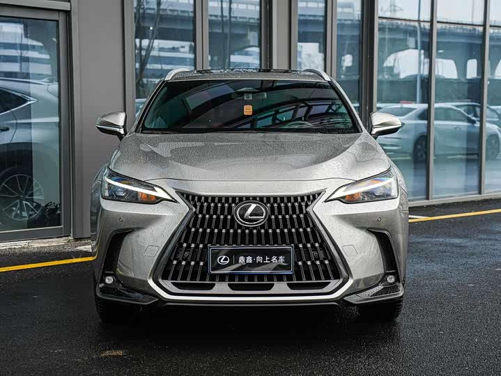 Lexus NX 2023 2023款 260 前驱 创悦版