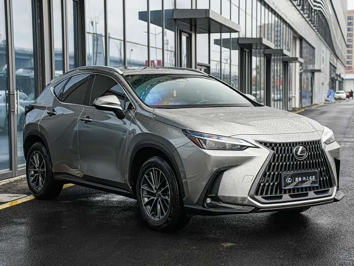 Lexus NX 2023 2023款 260 前驱 创悦版