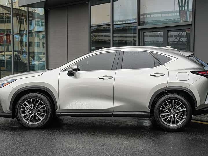 Lexus NX 2023 2023款 260 前驱 创悦版