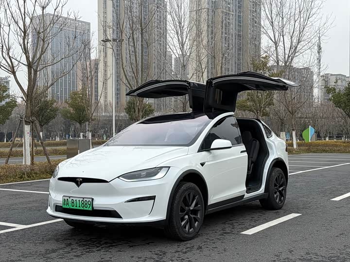 Tesla Model X 2023 2023款 双电机全轮驱动版