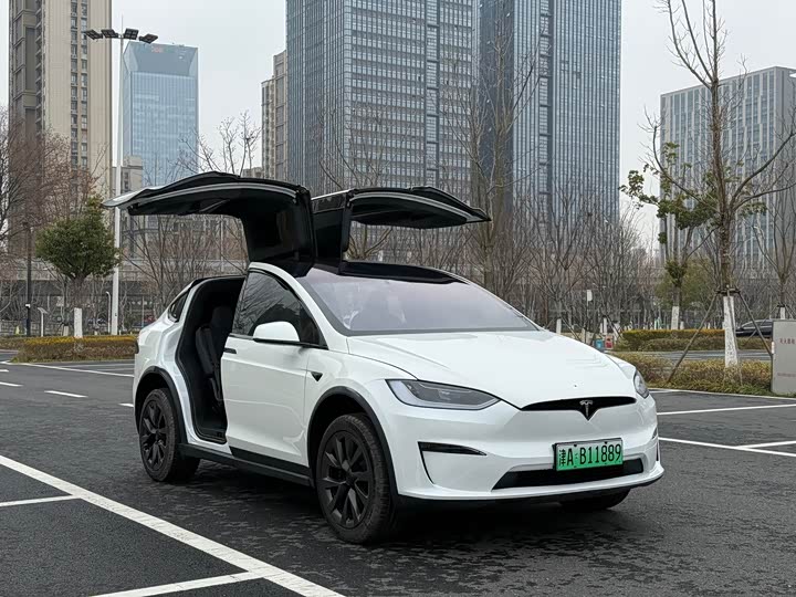 Tesla Model X 2023 2023款 双电机全轮驱动版