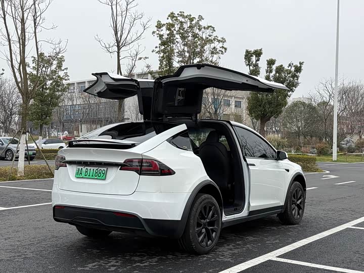 Tesla Model X 2023 2023款 双电机全轮驱动版