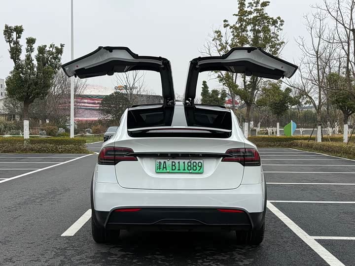 Tesla Model X 2023 2023款 双电机全轮驱动版